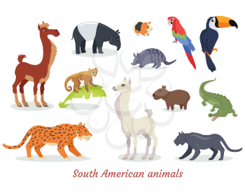 Collection of South American wild animals cartoon characters. Multicolor predators, herbivores and birds icons isolated on white background. Vector illustration set of South America fauna species