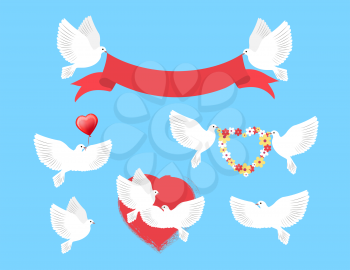 White pigeons holding wide red ribbon, ruddy heart balloon and colourful flower wreath on blue background. Vector illustration of bird that symbolize love and best people feelings to each other