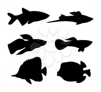 Aquarium animals dark silhouette isolated on white. Saltwater and freshwater pets, boxfish and guppy, butterfly and swordtail fish vector illustration