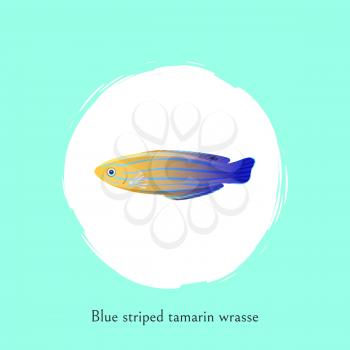 Aquarium blue striped tamarin wrasse poster with cutline. Marine creature color cartoon flat vector illustration in centre of white bubble spot.