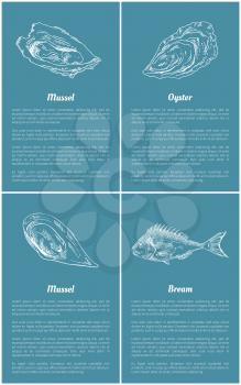 Mollusk and bream fish posters set with title text sample. Marine life unprepared seafood ingredients. Oyster with delicious meat vector illustration