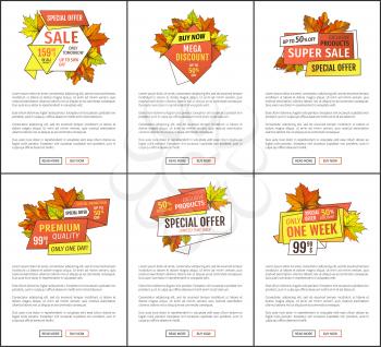 Promo pages special discounts on Thanksgiving day. Special exclusive offer buy now poster with oak leaves. Vector autumn sale banner, yellow foliage