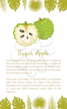 Sugar-apple, sweetsop, or custard apple, Annona squamosa, exotic juicy fruit vector poster text sample and leaves. Tropical edible food, dieting veggies