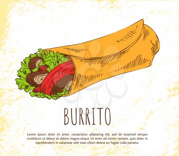 Burrito snack isolated on white vector poster, image of fast food, wrapped into tortilla green salad with sliced meat and tomatoes, mexican appetizer