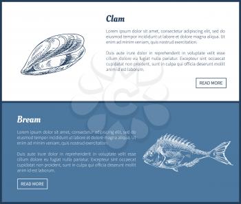 Clam and bream fish posters set with headline outline sketches of marine animals. Food ingredients and unprepared meal elements vector illustration