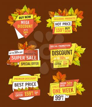 Promotion discounts on Thanksgiving day isolated, exclusive offer buy now labels with oak tree leaves. Vector autumn sale emblems, yellow foliage