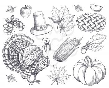 Pumpkin Thanksgiving symbols monochrome sketches outline isolated set vector. Harvesting and turkey animal, corn and hat, pie and acorn, leaves apple