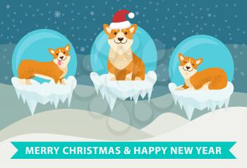 Merry Christmas and happy New Year poster with cute puppies on icy cliffs, three corgi dogs on snowy cliffs vector illustration winter landscape