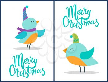 Merry Christmas greeting cards tiny birds with blue plumage in warm earpieces stands on thin legs isolated vector, Xmas holiday animals in headgear.