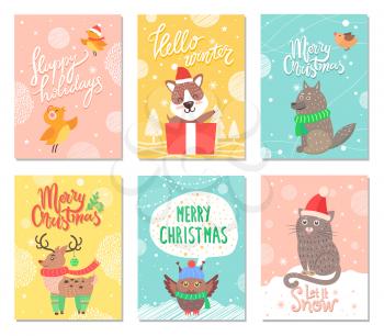 Hello winter, merry Christmas and let it snow, cards with images of birds and reindeer, owl and cat, wolf and dog sitting in box vector illustration