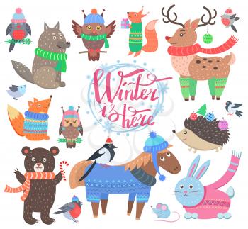 Winter is here poster with animals, icons of bullfinch, fox and wolf, owl and bird, horse and reindeer, rabbit and hedgehog vector illustration