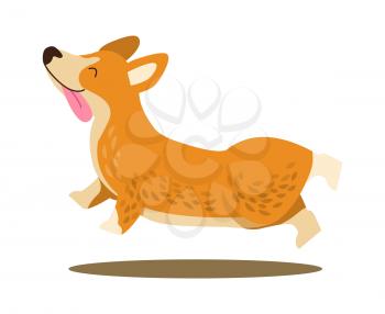 Happy playing corgi with protruding tongue in jump isolated on white background. Vector illustration with cute smiling dog happily running