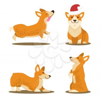 Corgi dog set of four icons isolated on white background. Vector illustration with friendly smiling puppy pets in different playing poses