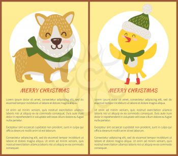 Merry Christmas congratulation set of posters with chicken and dog dressed in scarf and hat. Vector illustration with congratulations from cute animals