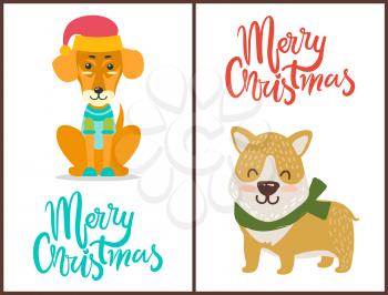 Merry Christmas banner congratulation from pets dressed in bright knitted clothes. Vector illustration with two happy dogs isolated on white background