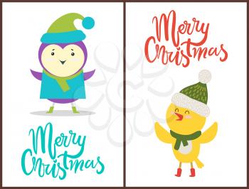 Merry Christmas banners congratulation from birds dressed in funny knitted clothes. Vector illustration with penguin in coat and chicken in scarf and hat