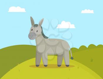Donkey farm animal graze on meadow colorful banner vector illustration of grey pet with tail and hair, bright sunny day and sky with fluffy clouds set