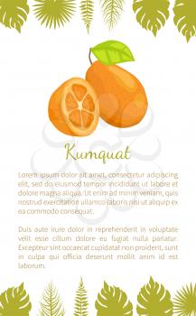 Kumquat exotic juicy fruit vector poster text sample and palm leaves, citrus. Tropical edible food, dieting illustration, veggies icon full of vitamins