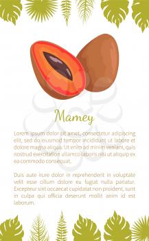 Mamey exotic juicy fruit vector poster with text sample and palm leaves. Edible food, dieting mammea americana, mammee apple, mamey, tropical apricot