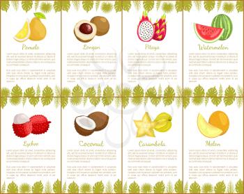 Pomelo and longan posters set with text sample and tropical fruits vector. Lychee and coconut, carambola and melon. Watermelon pitaya exotic meal