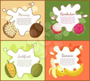 Marang and rambutan, jackfruit and ripe banana set of posters with text sample. Healthy succulent tropical fruits, nutritious exotic products vector