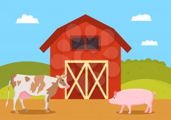 Cow and pig swine on farm. Mammal animals on ranch. Red barn for piglet to live inside agriculture and breeding natural production vector illustration