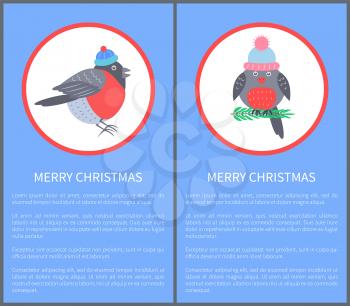 Merry Christmas 60s or 70s postcard congrats with beautiful bullfinch in warm winter hat. Vector illustration with bird sitting on twig