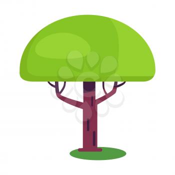 Baobab short tree with an enormously thick trunk and green leaves vector iisolated on white. Exotic plant flat design cartoon style with branches