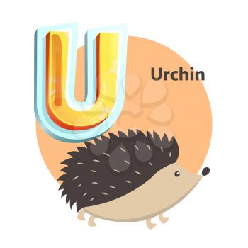 Urchin children alphabet poster with circle and hedgehog. Educational worksheet flashcard with word and letter U. Learning language isolated vector
