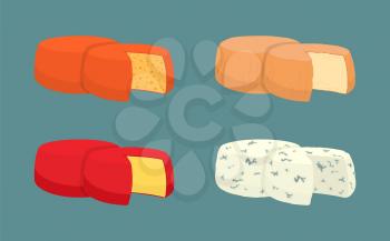 Hard cheese icons closeup set vector. Italian and French dairy products derived from milk in form of ring. Different type of fresh nutritious snacks