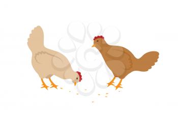 Two hens eating seeds vector icons in cartoon style. Pale domestic birds with wings, tails and red crest isolated on white, simple design for kid book