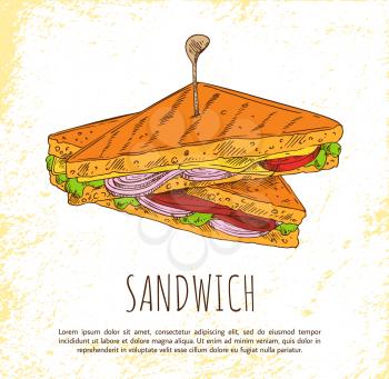 Sandwich with onion salad meat and tasty cheese, isolated on white background vector illustration of fast food , toasted product with lot ingredients