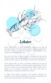 Lobster seafood vector hand drawn illustration. Decorative icon of ocean crustacean isolated on white with blue spots restaurant menu vintage template