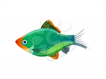 Green tiger barb ocean inhabitant colorful poster, vector illustration of glossy marine fish with pied body and transparent tail isolated on white