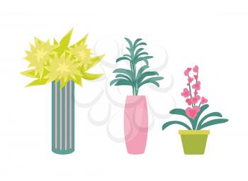 Flowers and foliage, leaves plants set isolated vector. Flourishing decoration elements, greenery in pots and vases. Blossom with gentle petals