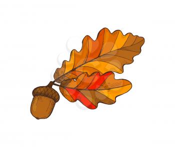 Leaf foliage and acorn, autumnal frondage isolated icon vector. Autumn symbol, October and November items falling from trees. Approaching of winter