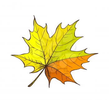 Maple leaf autumnal symbol isolated icon vector. Frondage natural element, colorful sign of autumn season and winter approaching. Dry fallen foliage