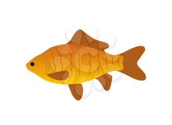 Red zebra fish icon closeup. Animal living in water ocean sea or lake dweller. Aquatic organism with fins and gills aqua fauna isolated on vector