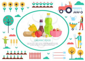 Organic food poster and people working on land. Trees and fruits farming process and results. Tractor and farmers growing eco vegetables set vector