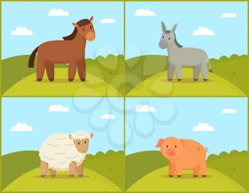 Farm animal red horse and donkey, curly sheep and pink pig on green hill and blue sky backdrop. Colorful flat rural illustration set in cartoon style.