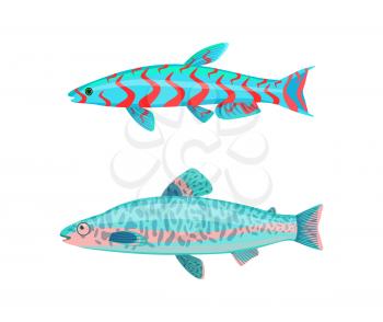 Jack Dempsey fish marine and tropical fauna set. Blue gill-bearing aquatic craniate animal without limbs with digits isolated on vector illustration