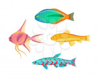 Betta splendens fish types set. Tropical and marine cold-blooded limbless animals. Water dwellers with gills and fins, isolated on vector illustration