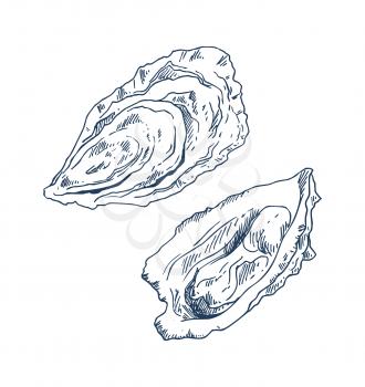 Seafood delicacy bivalve clam oyster monochrome hand drawn vector illustration. Marine product for fish restaurant promo poster isolated on white.