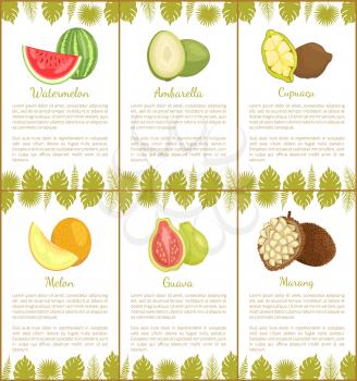 Watermelon and ambarella, cupuacu and melon, guava and marang tropical posters set with exotic fruits and leaves vector illustration with text sample