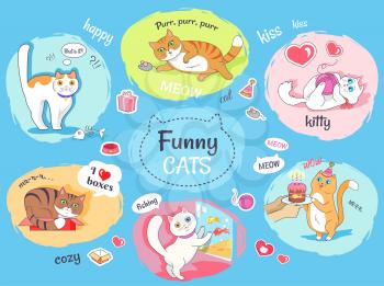 Funny cats poster with round images of their everyday life. Fluffy domestic animals entertaining and routine vector banner