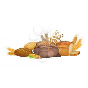 Grains and agricultural products colorful vector poster. Harvest of crude crops in bag and on ears, bread made of these ingredients