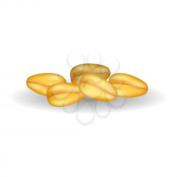 Fresh golden corn grains isolated vector illustration on white background. Ingredient for cooking healthy organic porridge and flour.