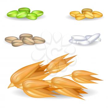 Big oat grains with other small harvest in piles isolated on white. Closeup heaps of crude harvest crops for various purposes vector poster