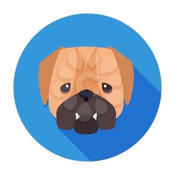 Wailful muzzle of English bulldog drawn icon on blue circle background. Vector illustration of shorthaired breed of dogs. Two fangs sticking out of closed canine mouth. Hand drawing graphic design.