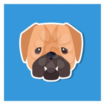Dolorous muzzle of English bulldog drawn icon on blue background. Vector illustration of shorthaired breed of dogs. Two fangs sticking out of closed canine mouth. Hand drawing graphic design.